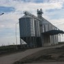 kaldarica